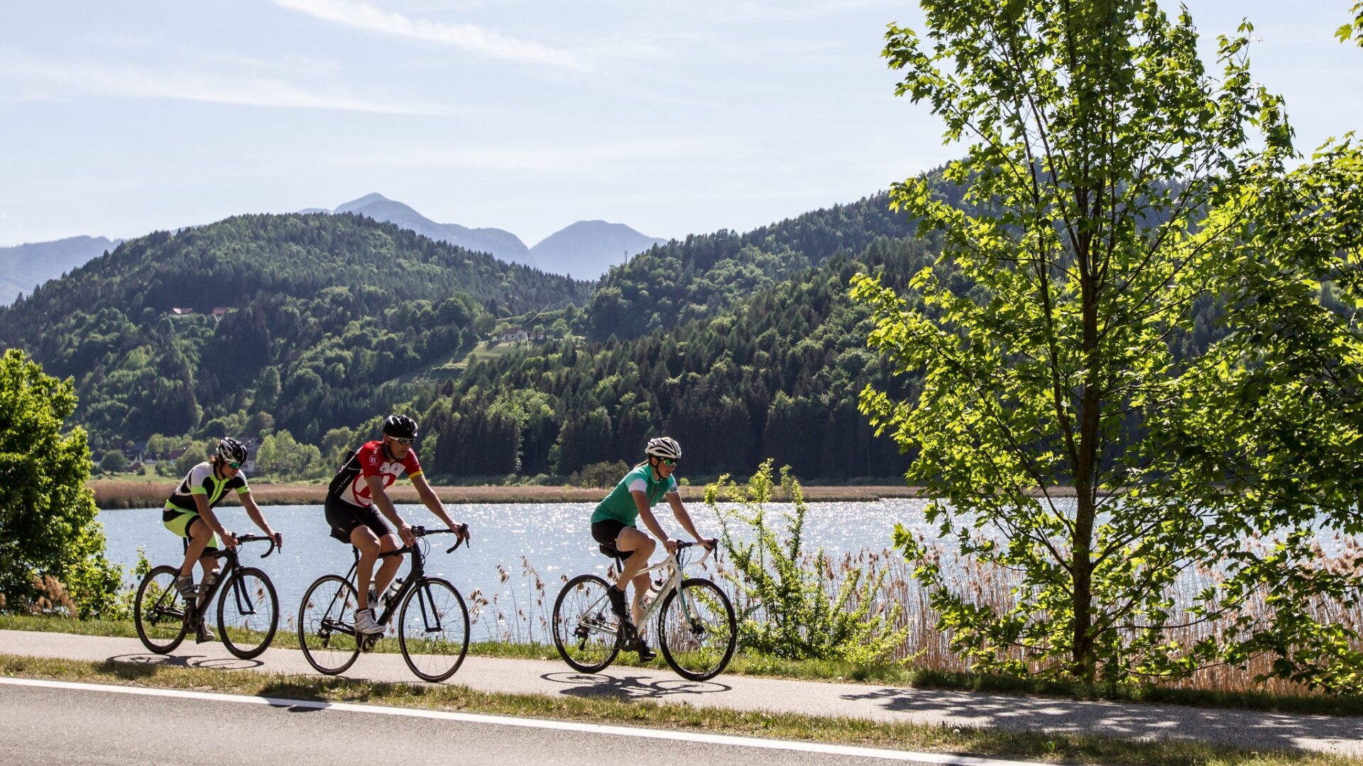 hotel marko am klopeiner see goesselsdorfersee robert karlhofer tourismusregion klopeiner see suedkaernten gmbh